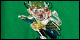 Emerald/Lucky Charms