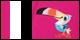 Flamingo/Toucan Sam