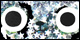 Ghost Cat Badge Real
