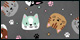 Cats & Dogs