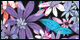 Summer Blooms
