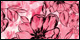 Watercolor Botanica