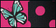 Polka Butterfly