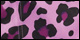 Cheetah Chiquita
