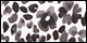 Confetti Floral
