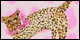 Cheetah Heels