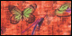 Desert Butterfly