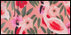 Flamingo and Flowers