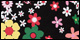 Floral Medley