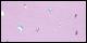 Lavender Iridescent Diamond