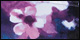 Monet Floral