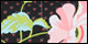 Rainbow Floral