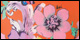 Scrolled Butterfly