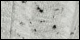 Platinum Grey Black Speckled Dots