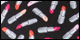 Tossed Lipsticks