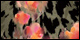 Wildflower Mirage