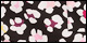 White Leopard