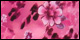 Wild Petals